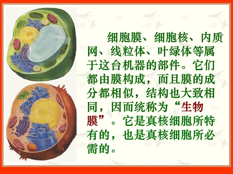 人教版教学课件细胞器——细胞内的分工合作(第二课时) 课件 1.ppt_第2页