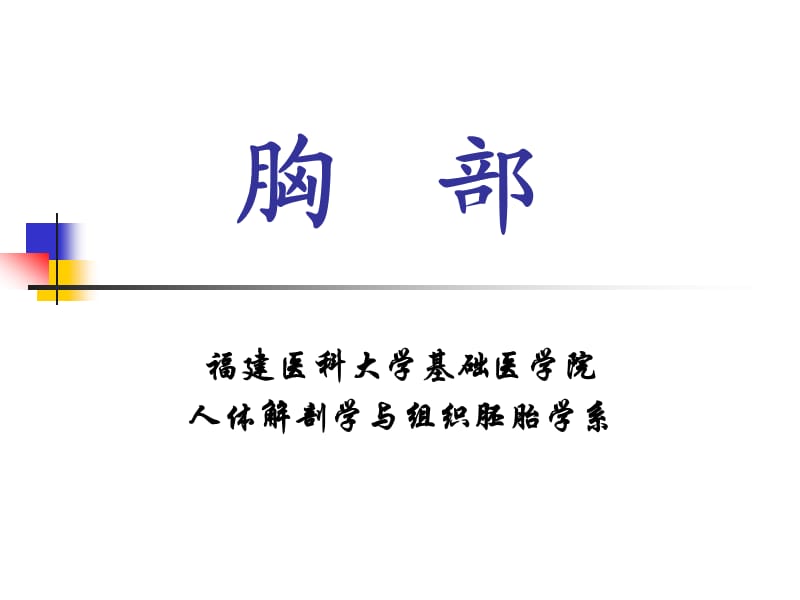 局解课件-理论课—胸壁.ppt_第1页