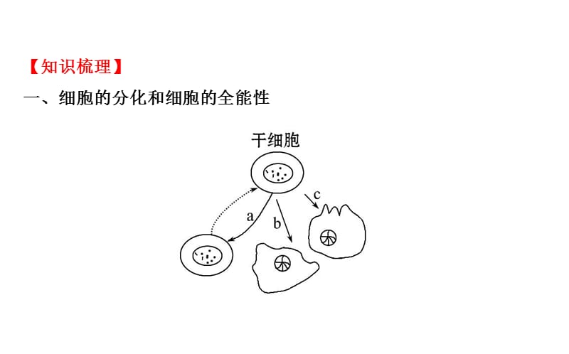 全程复习方略2016高考中图版生物大一轮复习课件)：必修1+第四单元细胞的生命周期细胞分化癌症的发生和预防.ppt_第3页