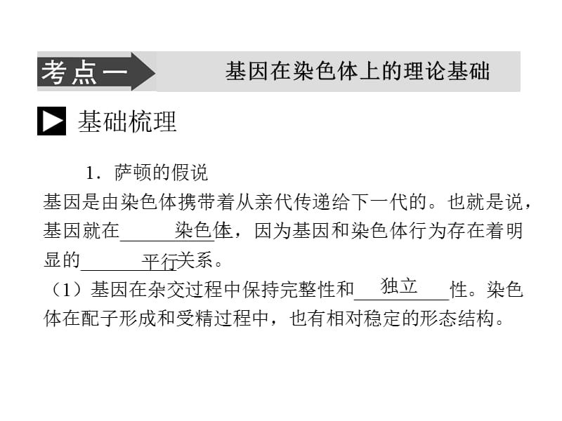 人教版教学课件2011届生物高考一轮复习课件：必修2 第2章 第2,3节 基因在染色体上和伴性遗传ppt.ppt_第3页