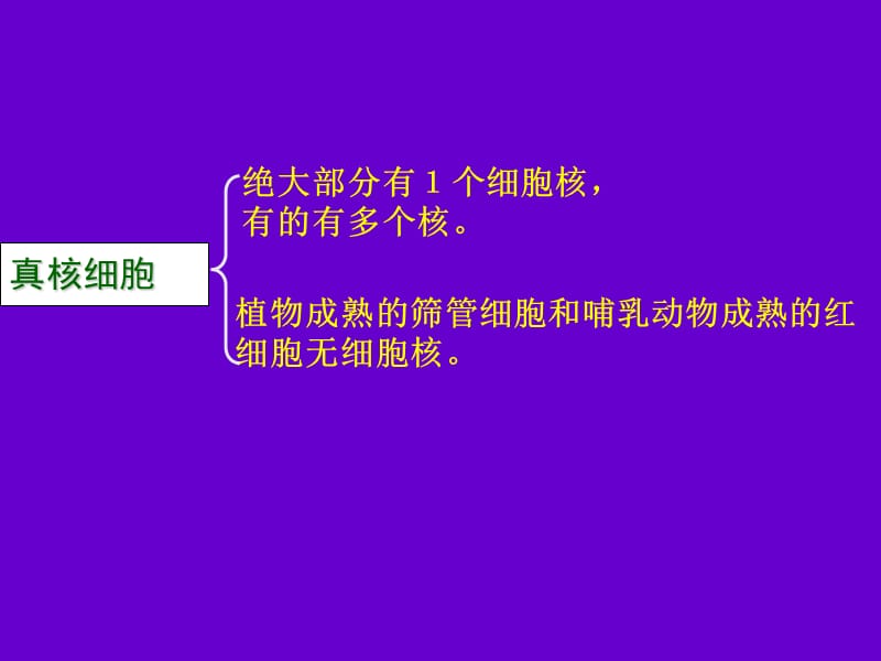 人教版教学课件[名校联盟]辽宁省大连市四十四中高一生物必修一《33细胞核—系统的控制中心》课件.ppt_第2页