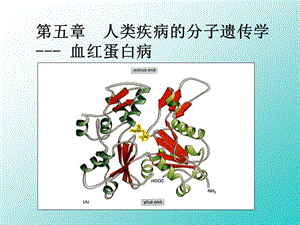 遗传学医用 (1).ppt