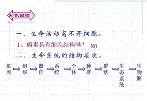 人教版教学课件1.2细胞的多样性和统一性(新课用).ppt