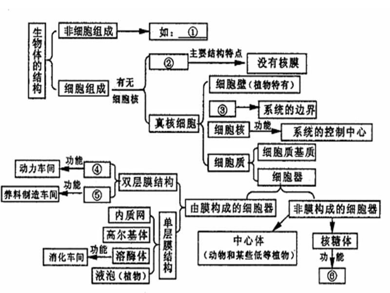 人教版教学课件广东省开平一中七年级生物 第3章 细胞的基本结构 复习课件.ppt_第2页