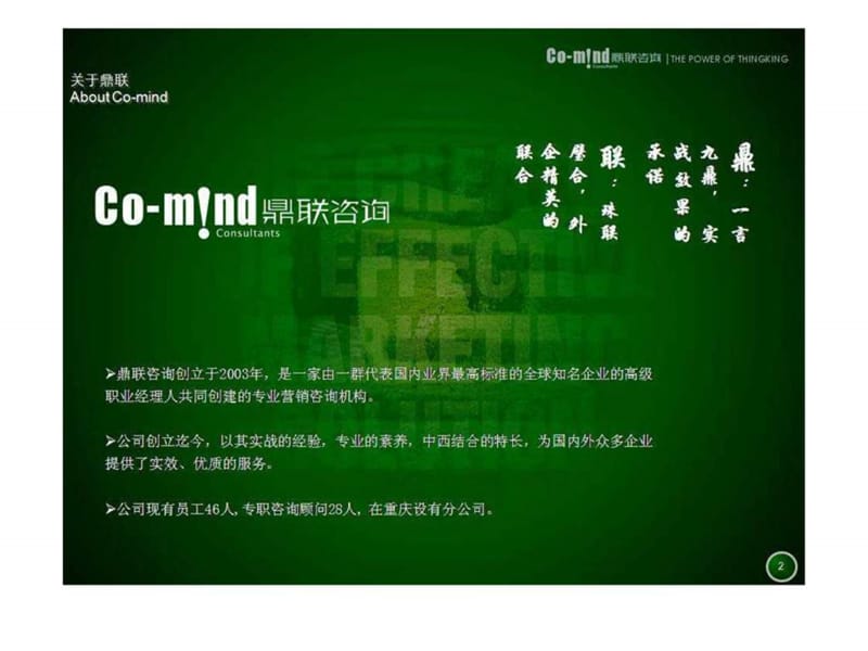 营销策划-鼎联咨询公司.ppt_第2页