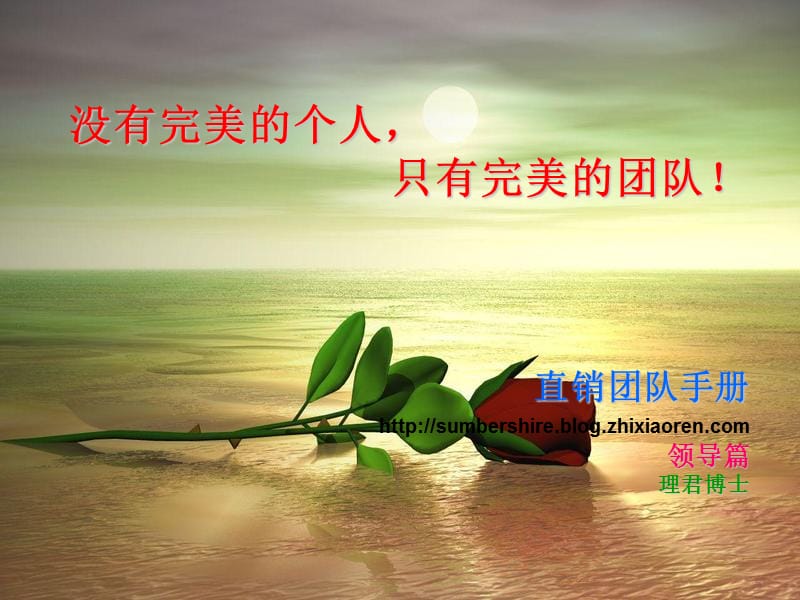 没有完美的个人,团队领导篇.ppt_第1页