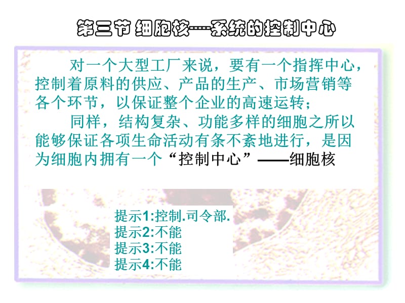 人教版教学课件云南省弥勒县庆来中学2011-2012学年高一生物 细胞核—系统的控制中心(课件).ppt_第1页