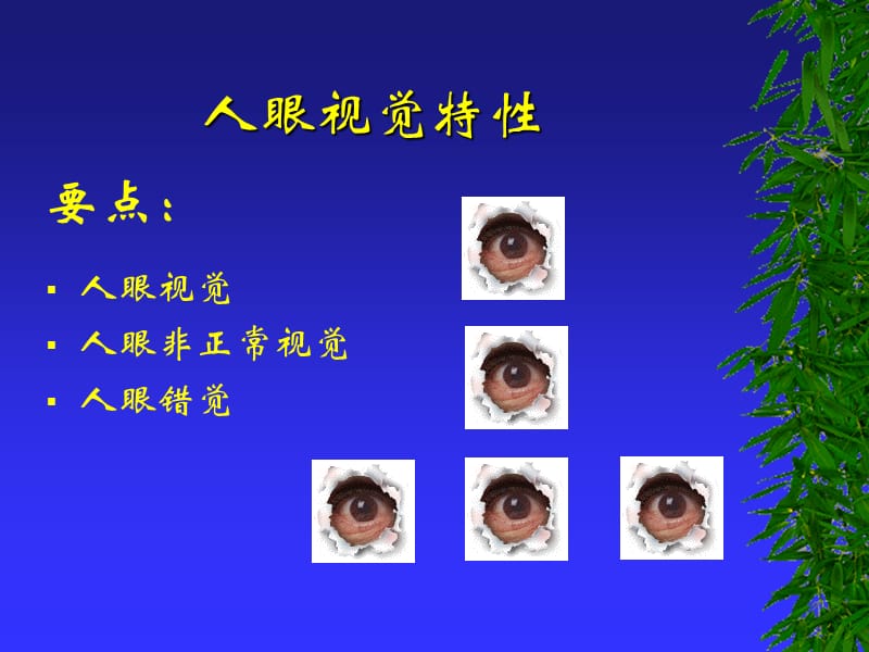 人眼视觉特性.ppt_第1页