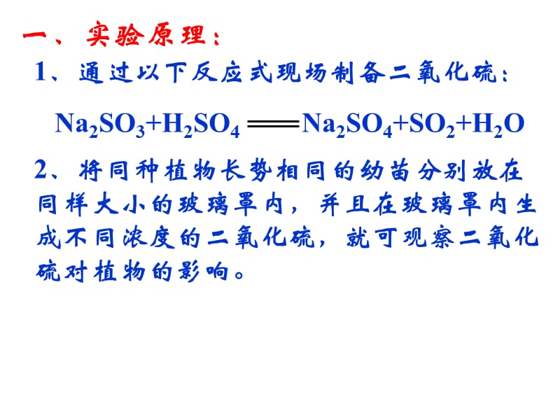 二氧化硫对植物的影响.ppt_第2页