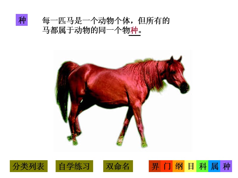 八年级生物从种到界课件2新人教版.ppt_第2页