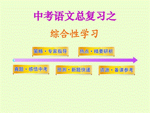 中考语文总复习之综合性学习_图文.ppt.ppt