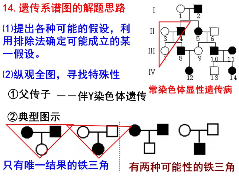 遗传计算题常见题型.ppt_第3页