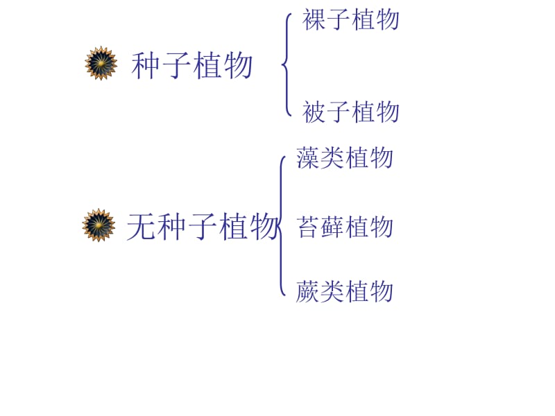 常见的植物课时2.ppt_第1页