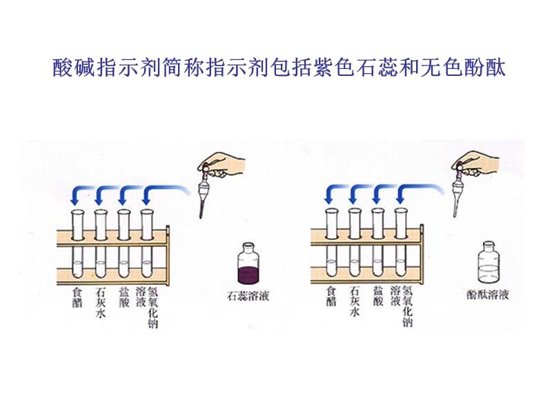 常见的酸和碱3ppt.ppt_第3页