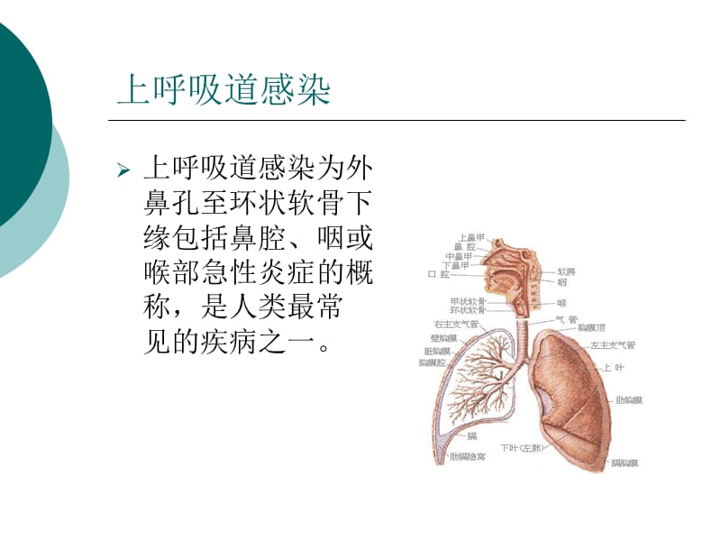 第7章内科常见病xyyadmin1232220110715163742.ppt_第3页