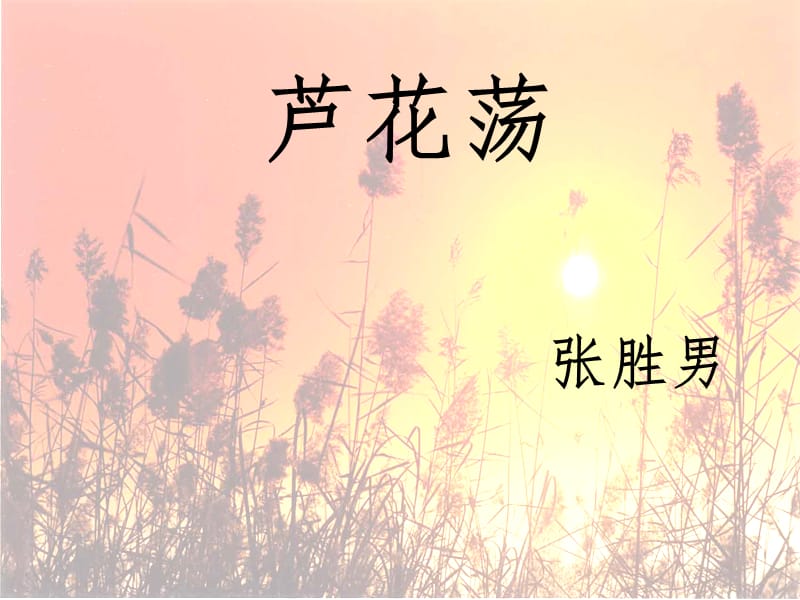 八年级语文上册《芦花荡》课件.ppt_第1页