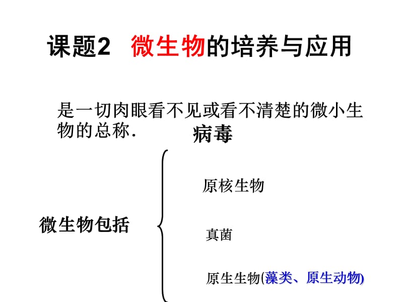 选修1 2.1 微生物的培养与应用.ppt_第1页