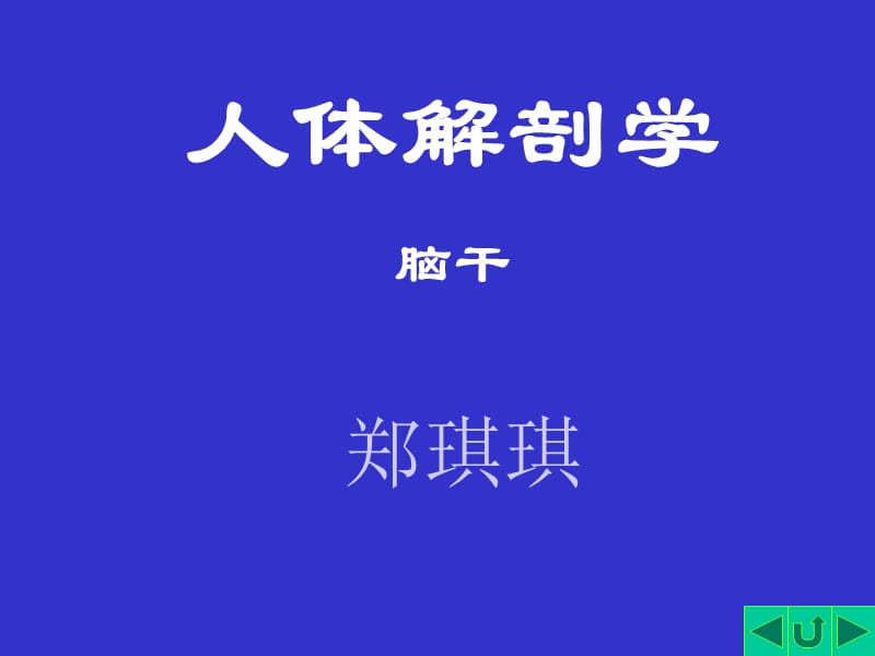 人体解剖学-脑干.ppt_第1页