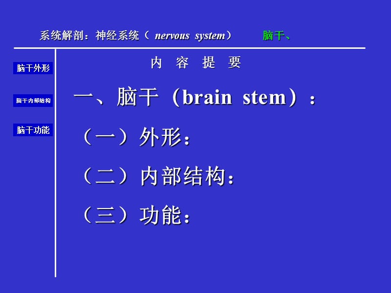 人体解剖学-脑干.ppt_第2页