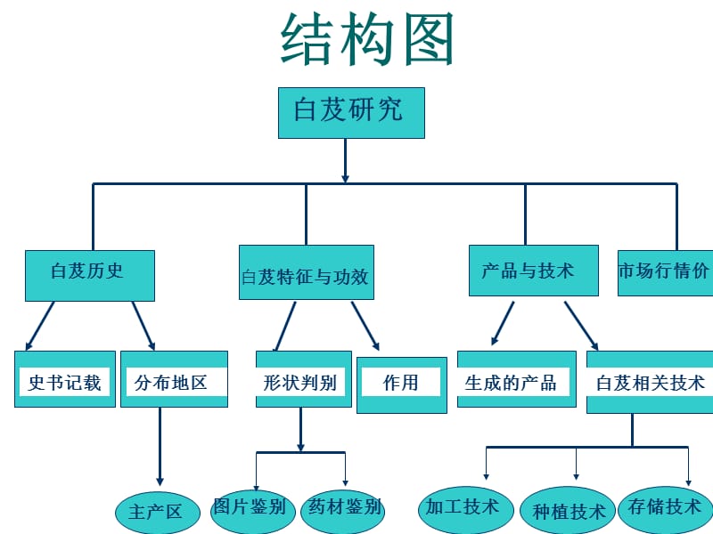 白芨介绍及制作流程.ppt_第2页