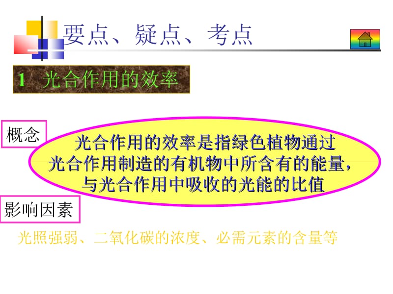 大纲版生物课件3.5.ppt_第2页