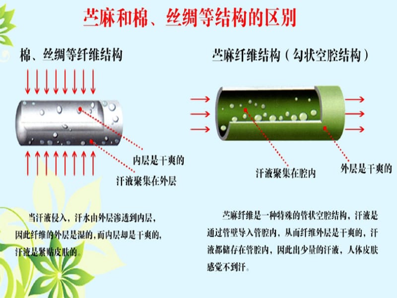 关于面料棉织品课件.ppt_第3页