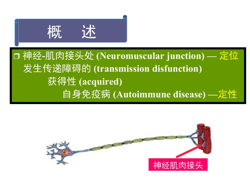 重症肌无力 (1).ppt_第2页