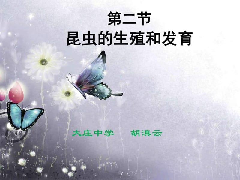 第二节昆虫的生殖和发育.ppt.ppt_第1页