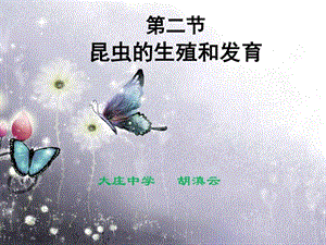 第二节昆虫的生殖和发育.ppt.ppt