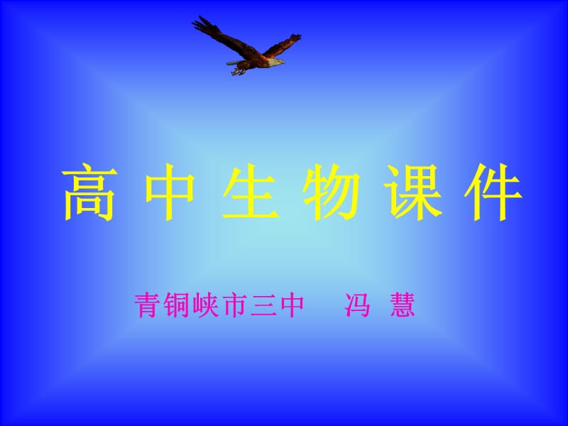 高中生物课件.ppt_第1页