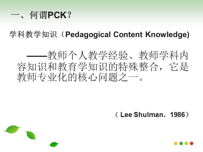 领域教学知识PCK与幼儿园教师专业成长.ppt_第3页