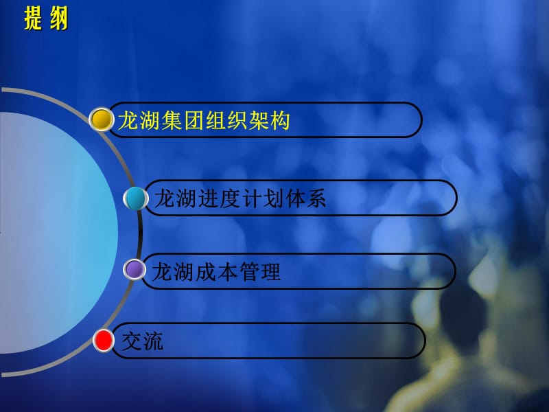 龙湖组织管控研究尺度.ppt_第2页