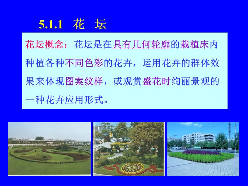 第五章花卉的应用(1).ppt_第3页