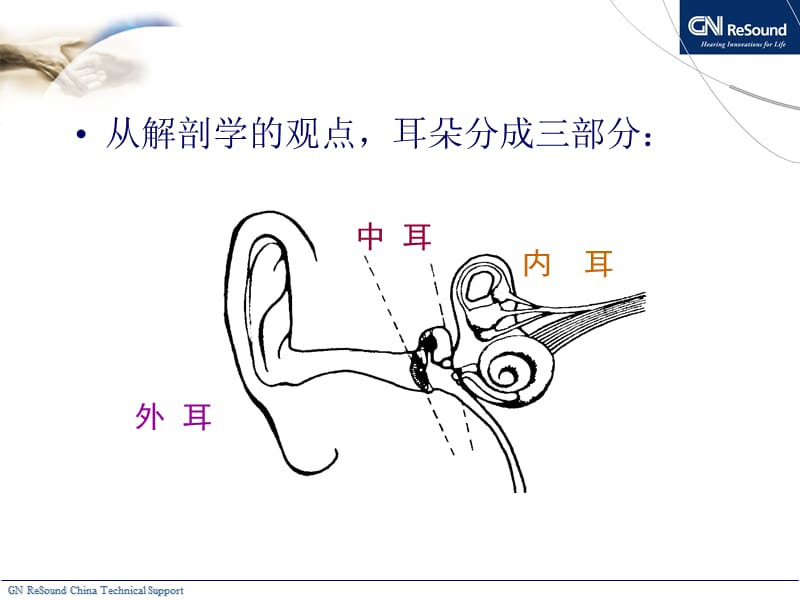 耳朵的解剖与生理.ppt_第3页