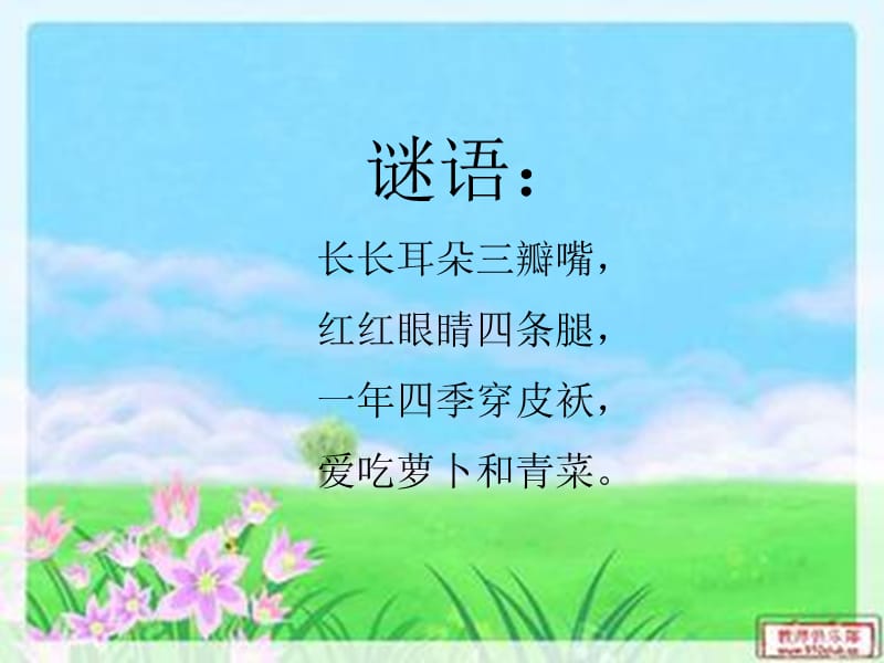 谜语长长耳朵三瓣嘴红红眼睛四条腿一年四季穿皮袄.ppt_第2页