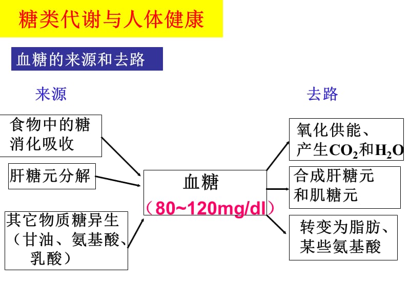 考点三大营养物质的代谢.ppt_第3页