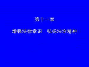 课件第十一部分增强法律意识弘扬法治精神.ppt