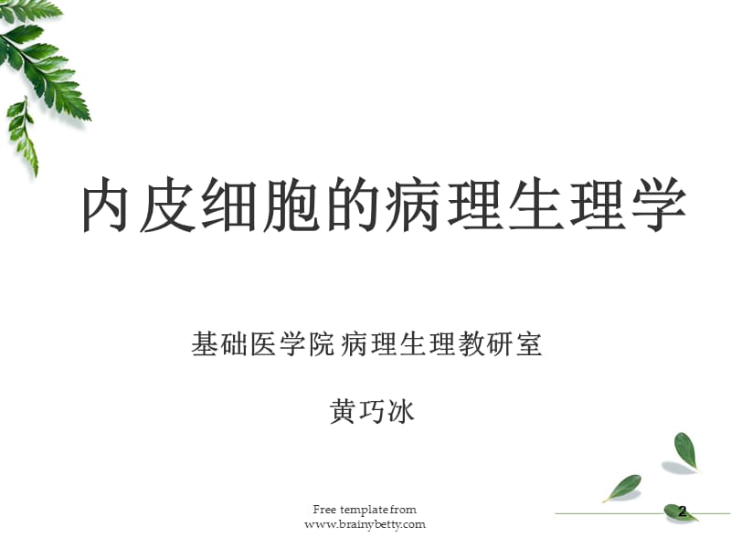 高级病生第一次课内皮细胞的病理生理学.ppt_第1页