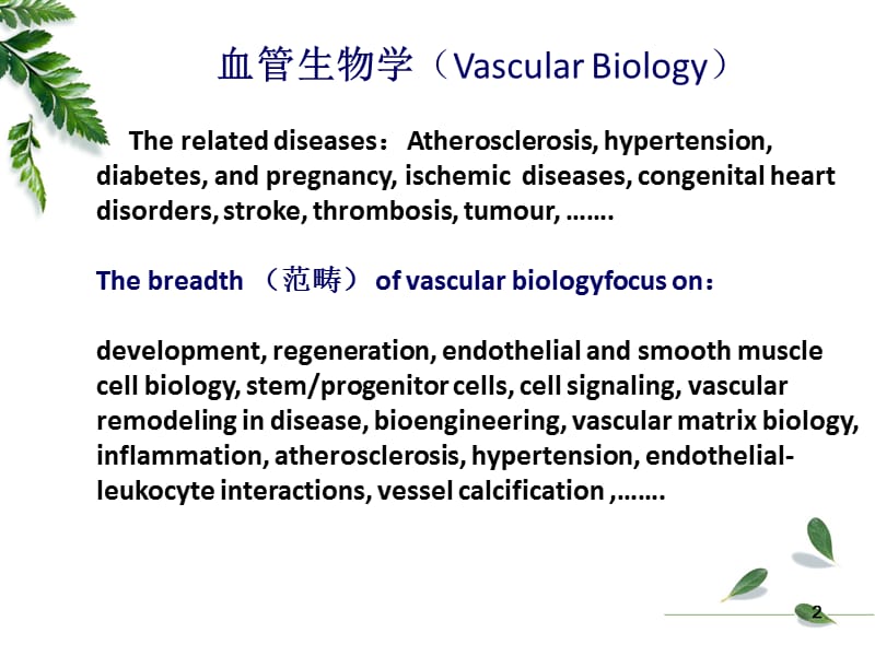 高级病生第一次课内皮细胞的病理生理学.ppt_第3页