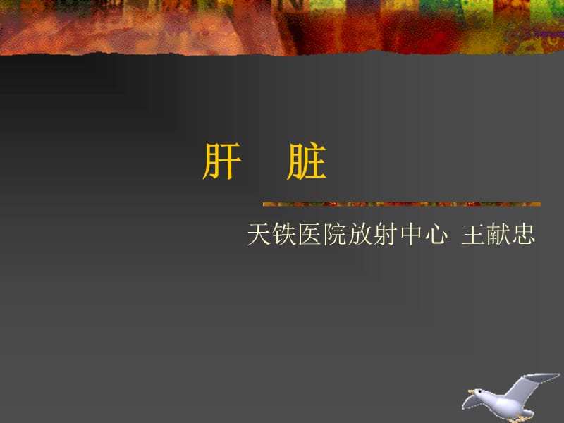 肝脏.ppt_第1页