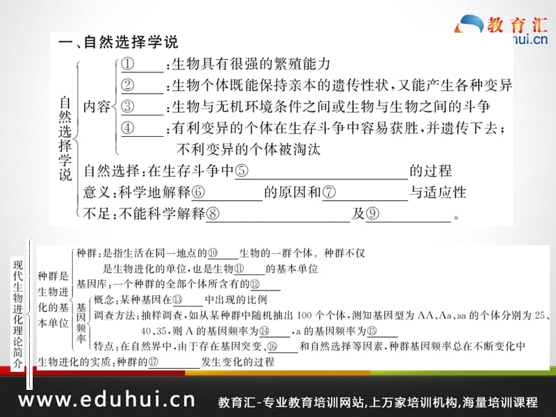 高考生物第一轮复习精品课件包第七单元生物的变异和进化32.ppt_第2页