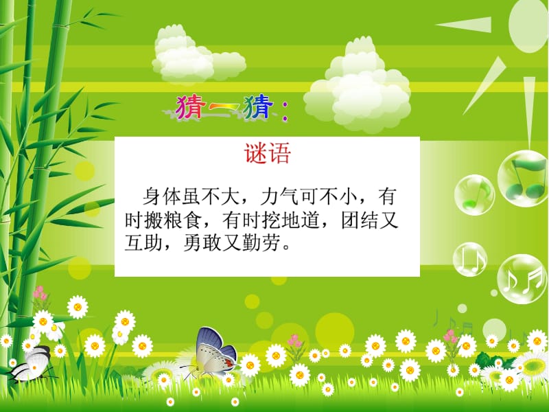 鄂教版四年级上册第四课观察蚂蚁.ppt_第3页