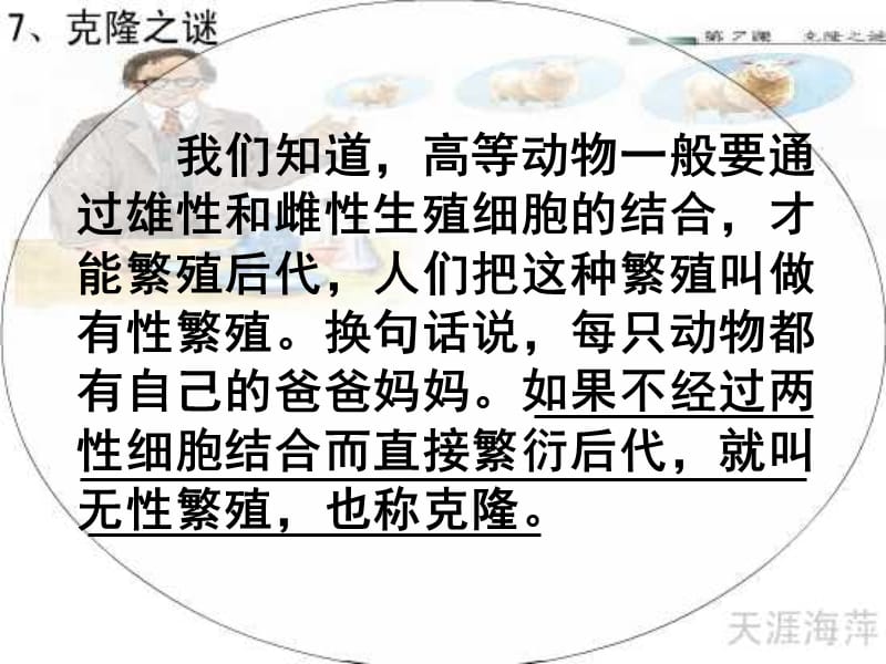 默读第二自然段画出写动物的有性繁殖无性繁殖.ppt_第3页