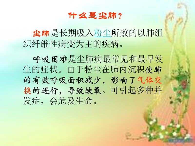 肺的结构与功能ppt课件.ppt_第3页