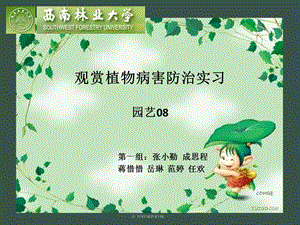 观赏植物病害防治实习.ppt