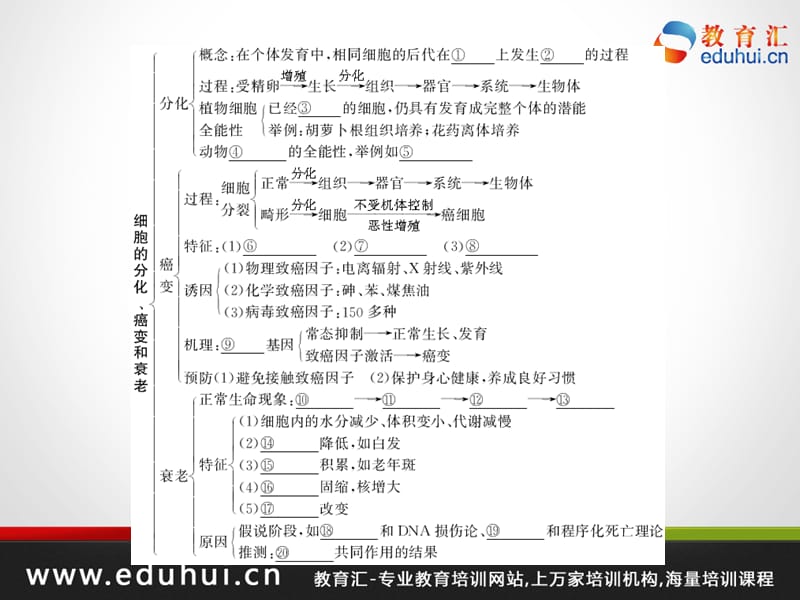 高考生物第一轮复习精品课件包第二单元生命的结构基础考点8.ppt_第2页