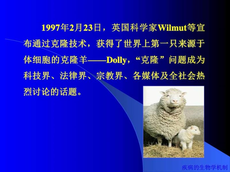 克隆与医学_图文.ppt.ppt_第2页