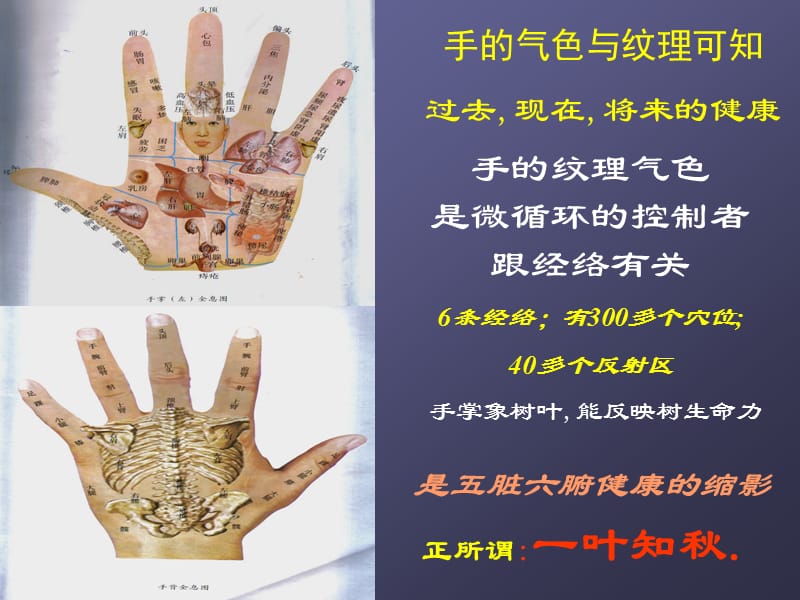 观手知健康.ppt_第2页