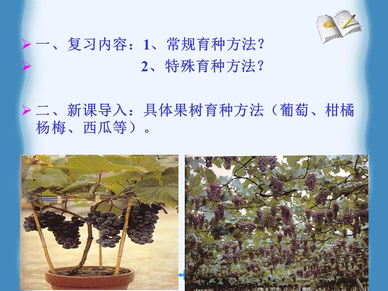 第十四章葡萄育种.ppt_第1页