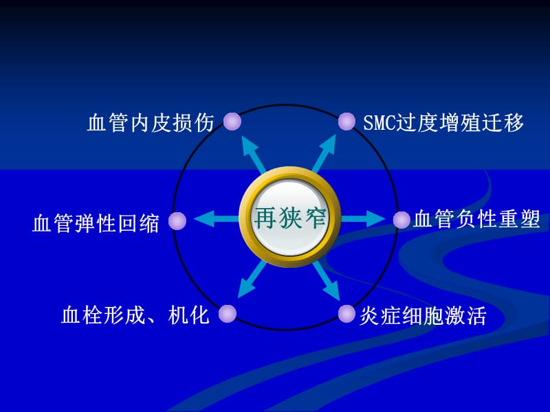 罗格列酮对髂动脉球囊损伤兔血管内皮的保护作用.ppt_第3页